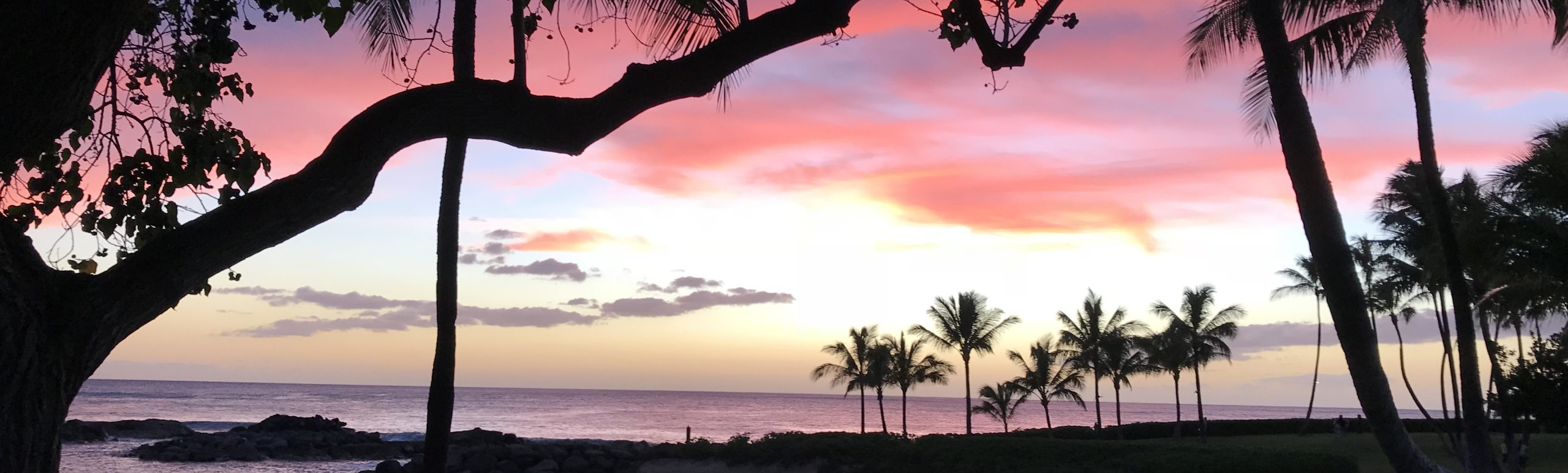 日本人スタッフの「カラニ・ツアーズ」はより良いサービスをよりお安くをモットーにスタッフ一同頑張っています。楽しいハワイを満喫しましょう！